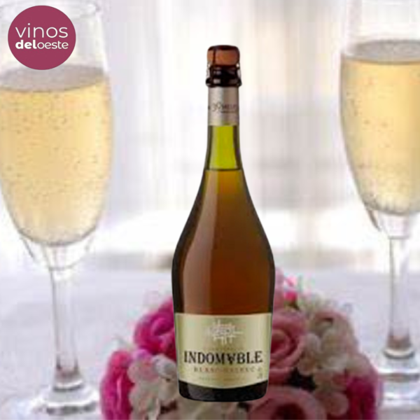 ESPUMANTE INDOMABLE BLANC-MALBEC600X600PXL
