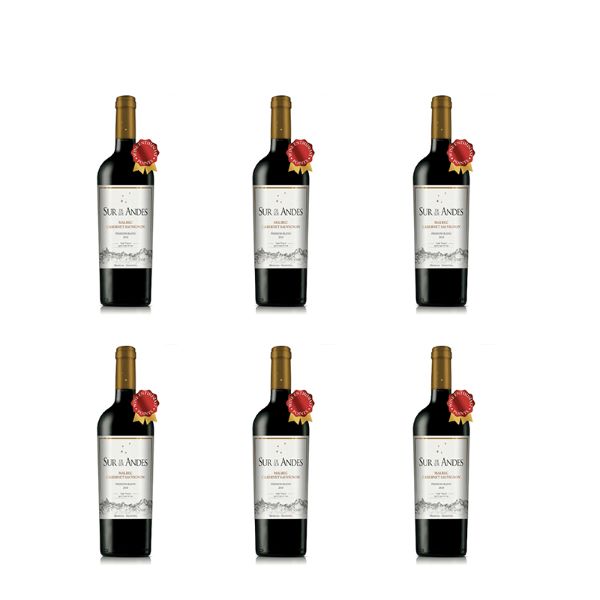 Sur de los Andes Blend caja x 6 botellas 600 x 600pxl