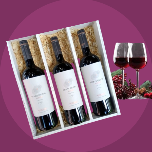 Mont AGCMalbec caja x 3 vinos 600x600pxl