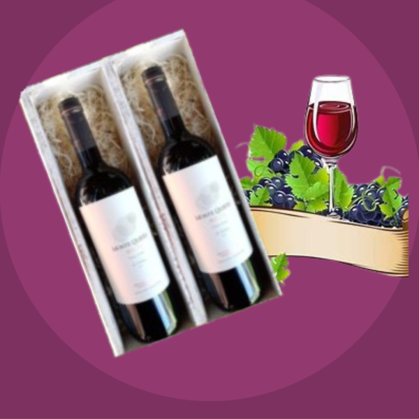 Montequieto AGC Malbec-caja x2 vinos600x600pxl