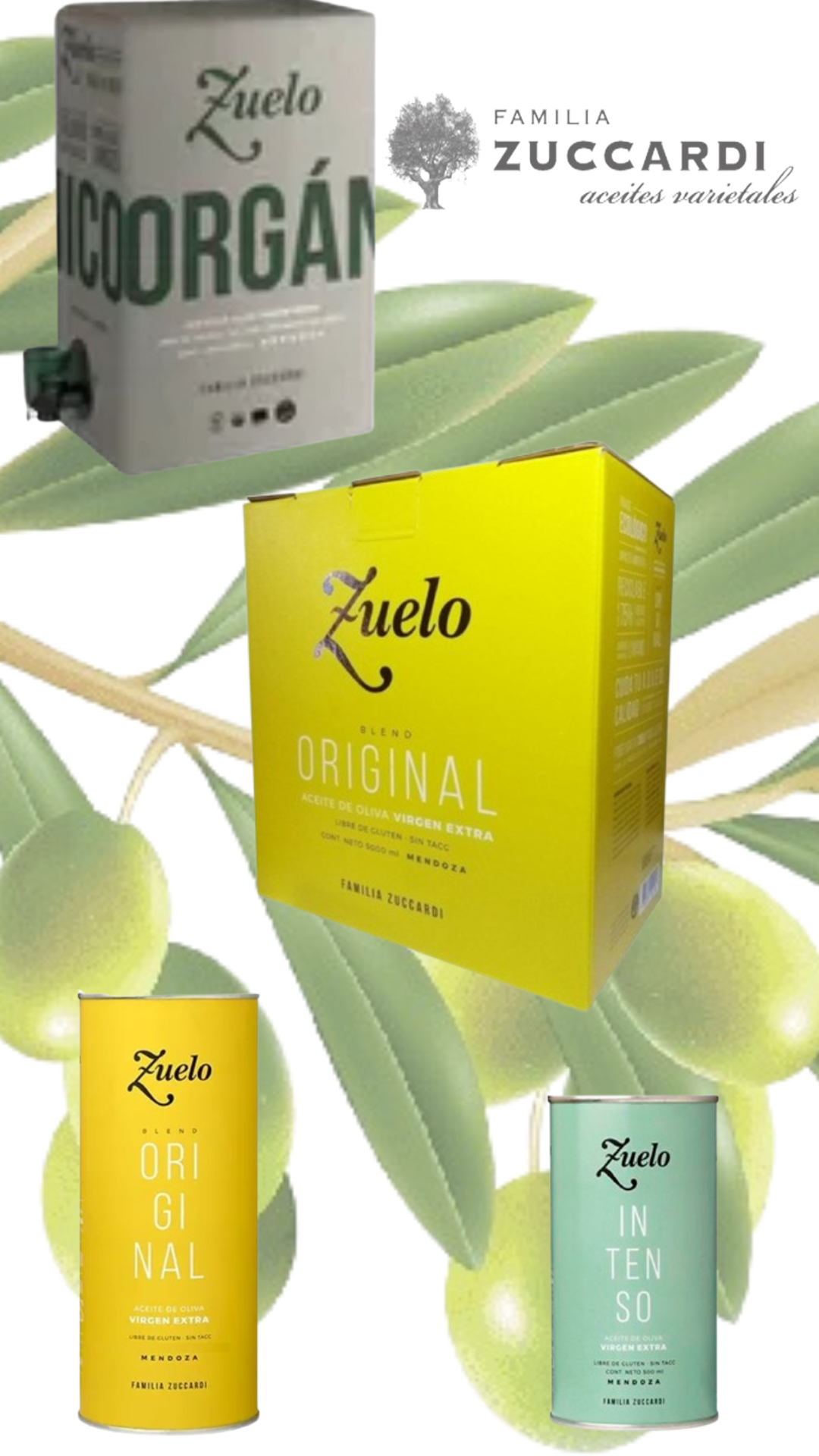 DISTINTOS VARIETALES ACEITES ZUCCARDI
